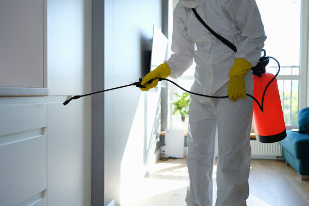 Professional Mold Removal in Seacliff, CA