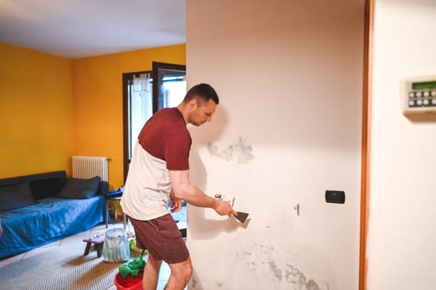 Mold Removal and Inspection in Seacliff, CA